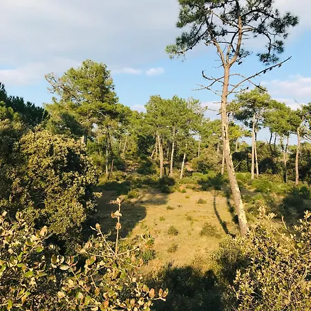 Les Oceanides, T2 Face Ocean * Notre-Dame-de-Monts